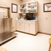 Claws & Paws Veterinary Hospital gallery