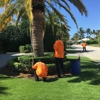 Quality Lawncare & Landscaping gallery