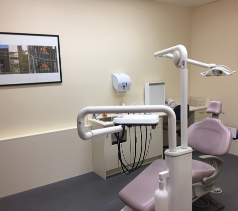 Chou Chia Ling Dr - Mount Waverley, VIC