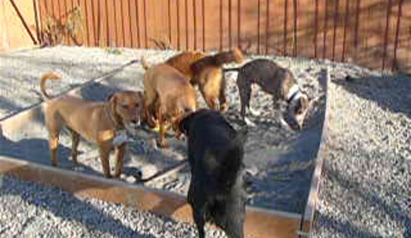 Animal Daycare & Boarding - Anchorage, AK