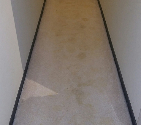 Imperial One Cleaning Services - Woodbridge, VA. PET STAIN