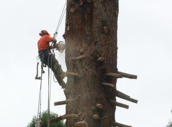 Charleston Tree Service