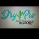 Dry Pro Carpet Cleaning