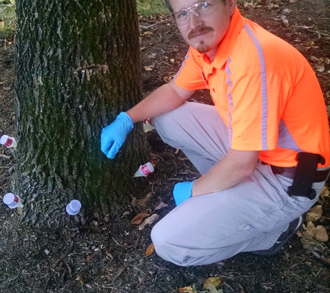 Wright Brothers' Landscaping & Tree Service - Carrboro, NC