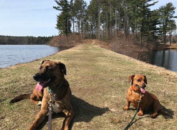 Connell's Dog Training - Shrewsbury, MA