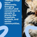Boston to Dog Training Elite Bristol - Plymouth