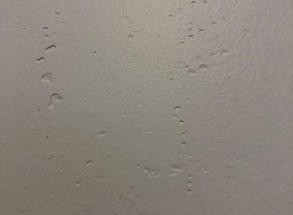 Darrell Murray Plastering - Avalon Beach, NSW. My walls had bubble craters in the plaster