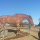 Garrod Farms Riding Stables