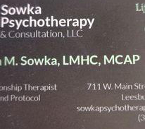 Sowka Psychotherapy & Consultation - Tavares, FL