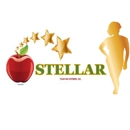 Stellar Teaching Systems, Inc. - Educational Consultants