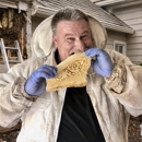 AA Native Wildlife Removal, Bee Removal & Pest Removal