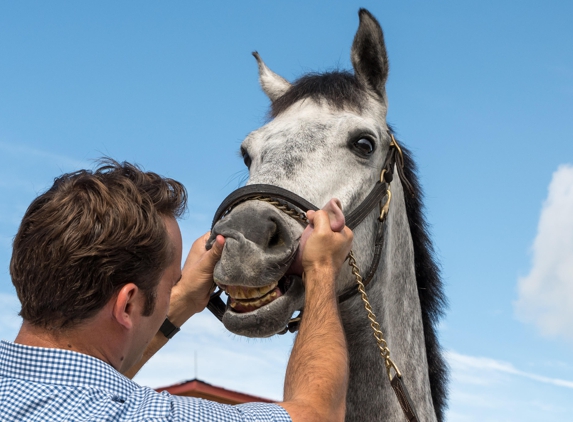 Palm Beach Equine Clinic - Wellington, FL