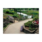 Gallery Image Number 5