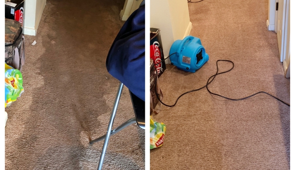 Beyer Carpet Cleaning - San Antonio, TX