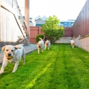 Omaha Dog Pro Underground Fences - Fence-Sales, Service & Contractors