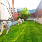 Omaha Dog Pro Underground Fences