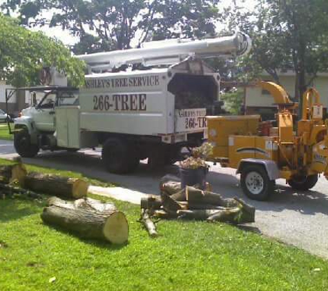 Ashley's Tree Service - Louisville, KY