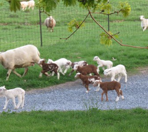 Meadow Run Farm - Lititz, PA