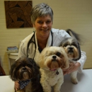 South Pointe Animal Hospital - Veterinarians