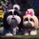 Southern Charm Shih Tzus