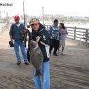 Oceanside Pier Bait Store - Fishing Bait