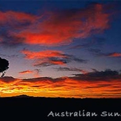 Gallery Image Number 7