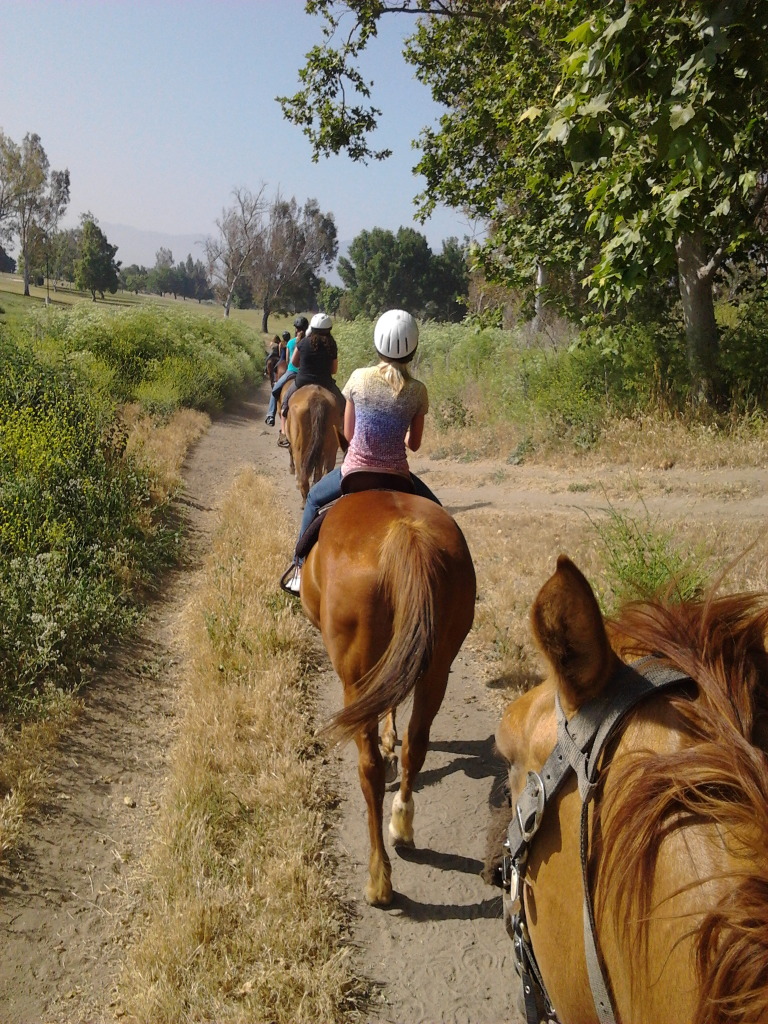 Prado Equestrian Center 16629 Johnson Ave, Chino, CA 91708 - YP.com