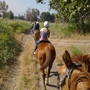 Prado Equestrian Center