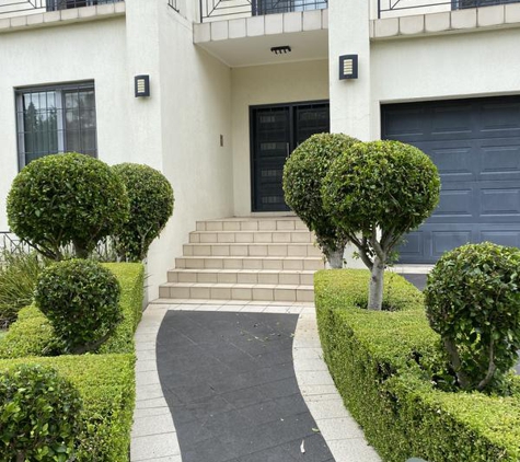 Able Lawns & Gardening Service - Strathfield, NSW. Nice shaping of my ficuses and buxus