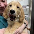 VCA Bent Tree Animal Hospital - Pet Services