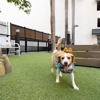 Camden Brickell Apartments gallery