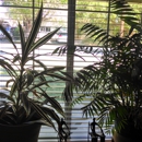 Birdseye View Window Cleaning - Window Cleaning