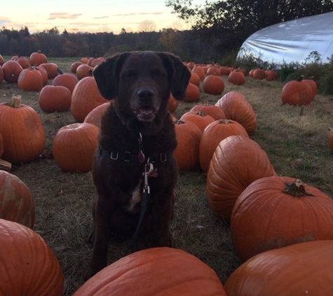 Stuart's Fruit Farm - Granite Springs, NY