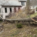 Owen's Tree Expert - Tree Service