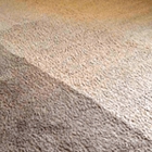 CLEAN+DRI Carpet Cleaning