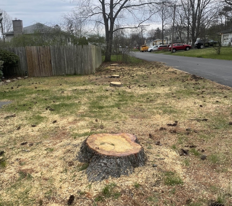 Stump Wrecker - Latham, NY. Stump Wrecker Tree Stump Grinding Service / Tree Stump Removal Service