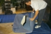 Horizon Moving & Logistics - Moving Services-Labor & Materials