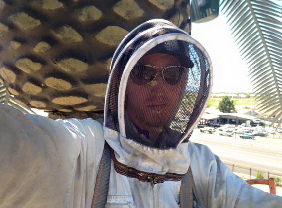 Don's Bees, Termites and Weeds - Peoria, AZ