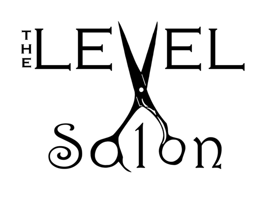 Level Salon - Lees Summit, MO