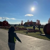 Land of the Giants Pumpkin Farm gallery