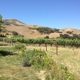 Lafond Winery & Vineyards