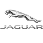 Jaguar Wichita