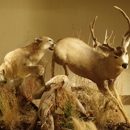 A Lasting Memory Taxidermy - Taxidermists