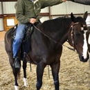 Rising Star Equestrian PA - Horse Training