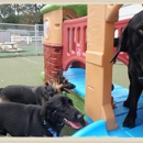 Dogs on the Farm & Cats Too - Pet Boarding & Kennels