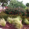 Lawson's Landscaping & Irrigation gallery