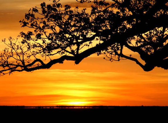 Northern Land Council - Casuarina, NT