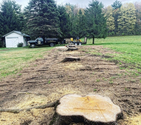 Stump Wrecker - Latham, NY. Stump Removal Brunswick NY