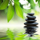 Massage Green Spa - San Marcos - Massage Therapists