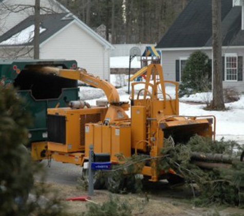 Adirondack Tree Surgeons Inc - Gansevoort, NY